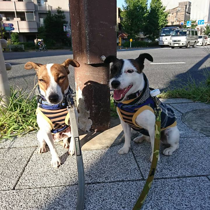 Cc6935e8 16c5 4cb0 9a28 96770b77702d 1534628752046