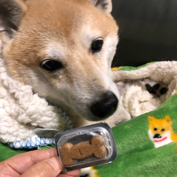 Cc693ad2 7ec8 46f0 9f7c a1229b289a54 1575276516210