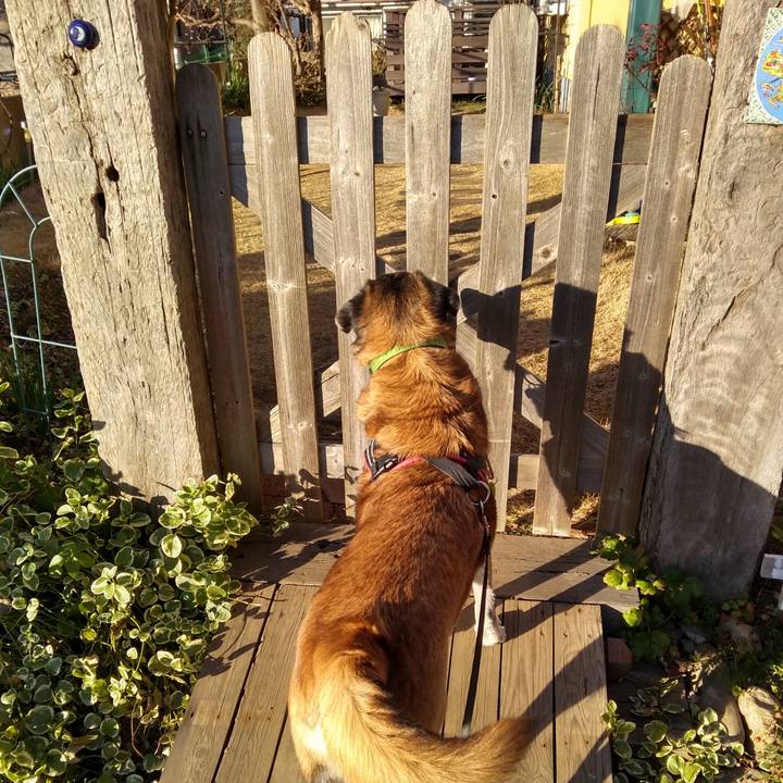 Cc6942a1 2a89 4b9c a7ad 963cfe594c0b 1547768379851