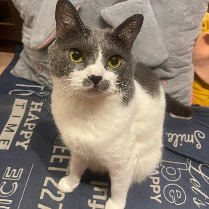 Cc69bc11 aaa7 4eb0 a225 0bceb8e3c1d8 1748712702485