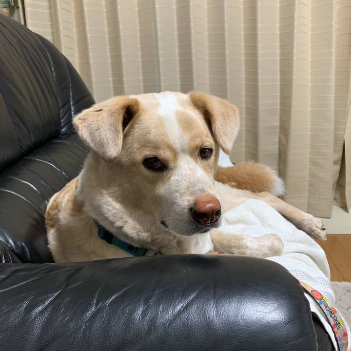 Cc69d85e 6818 4761 b17d a98566260cbb 1558018967351