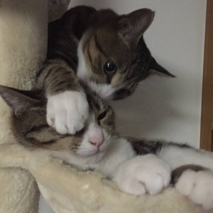 Cc6a1394 935c 4779 9d27 1799df20b3f1 1658270399247