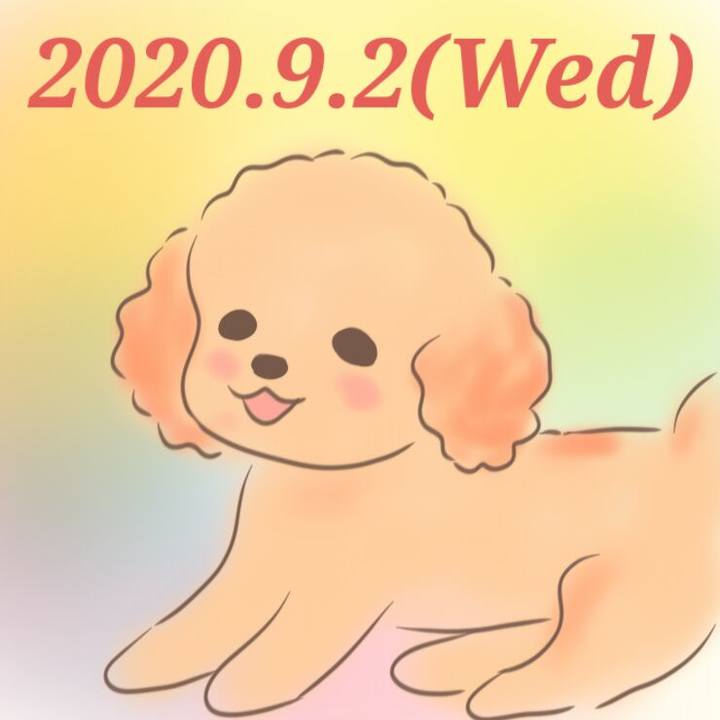 Cc6a2c60 6439 412b a647 254c6b576f7f 1599050207066