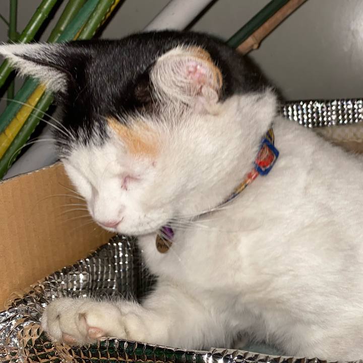 Cc6a2cd1 8ce0 4978 b436 43cfebe06972 1636720768692