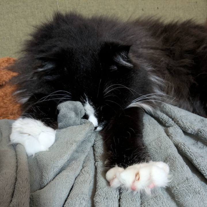 Cc6a3308 8808 4b63 a797 3b1f6e3c6c0b 1722458383953