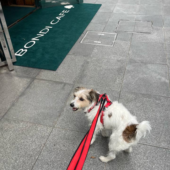 Cc6a4db0 846c 40cd 802f f2732851b50b 1760020202812