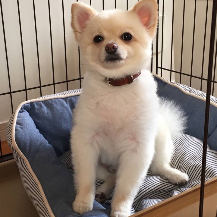 Cc6a6754 427c 4834 a531 e3703217741b 1535671517877