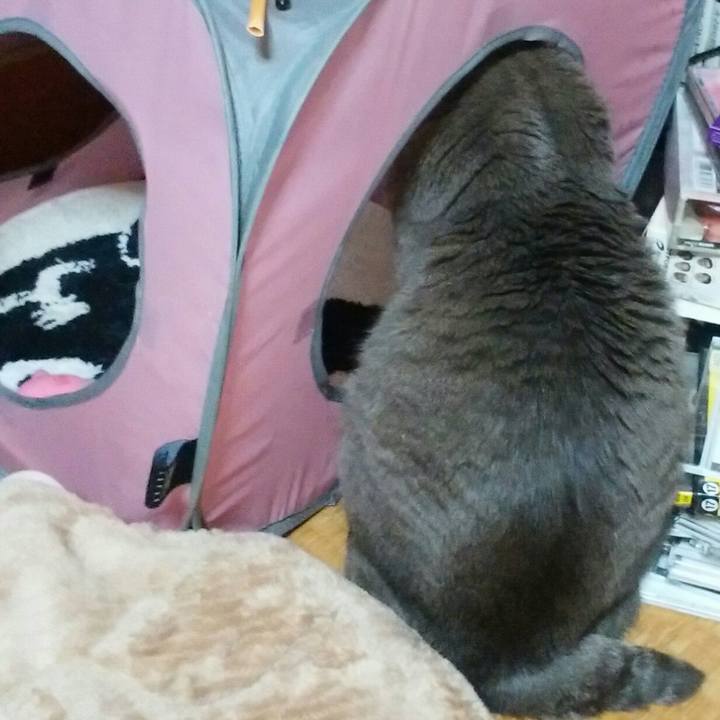 Cc6a74ce 6e83 471e b5d4 47541d19d188 1583323202551