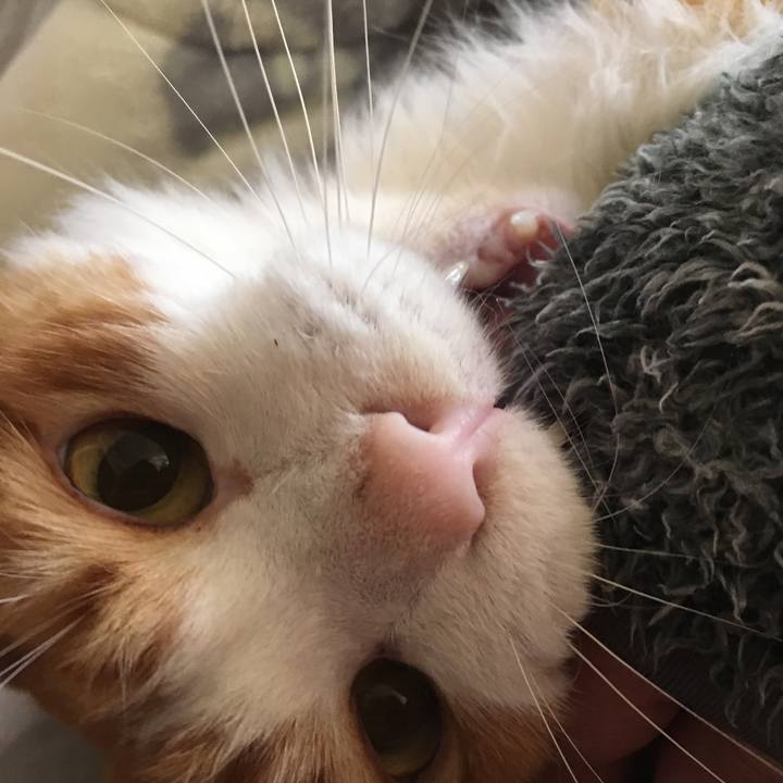 Cc6a77fc ac5d 411f 82f1 2c203da8d46b 1573780552493