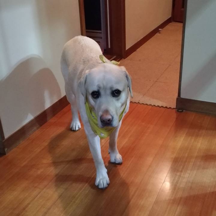 Cc6a7f08 e0bc 4085 a98a e3f3891f6ac9 1550578684626