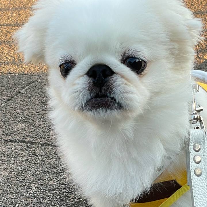 Cc6a8215 400a 4315 8521 ad0c8dec88e6 1662851294014