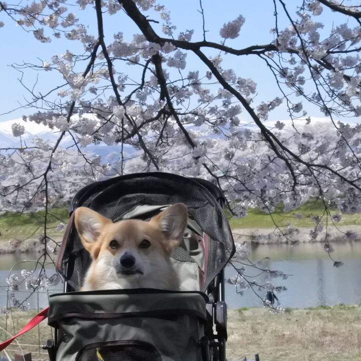 Cc6a8769 4f38 417b a502 df9ab757f4cb 1555152722186