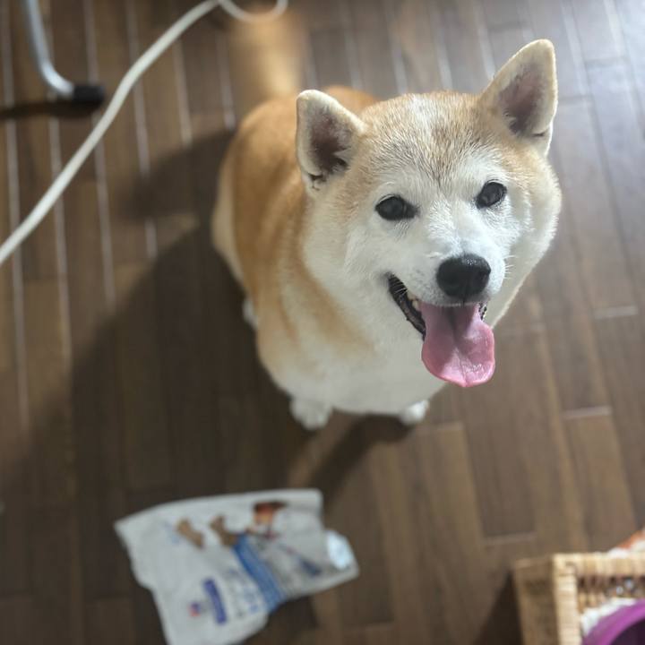 Cc6a9783 37f1 4aae 864f e2e6de2295e3 1753131235580