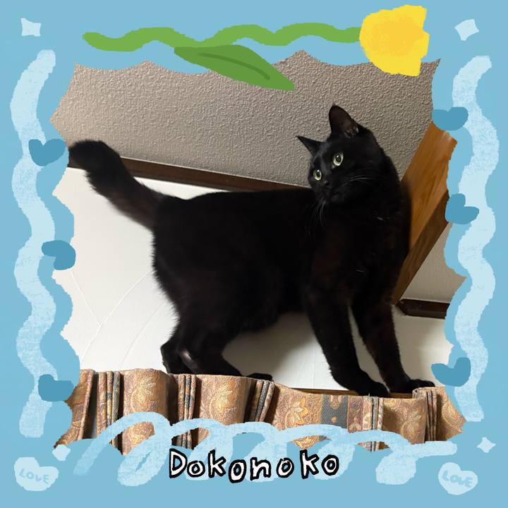 Cc6aa720 cf2c 418e 8100 b4256318aa5b 1771836013990