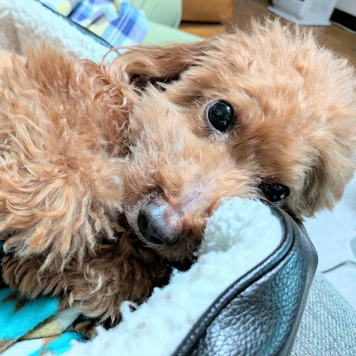 Cc6aba56 ab0b 429d b911 202adb48c754 1774780557900