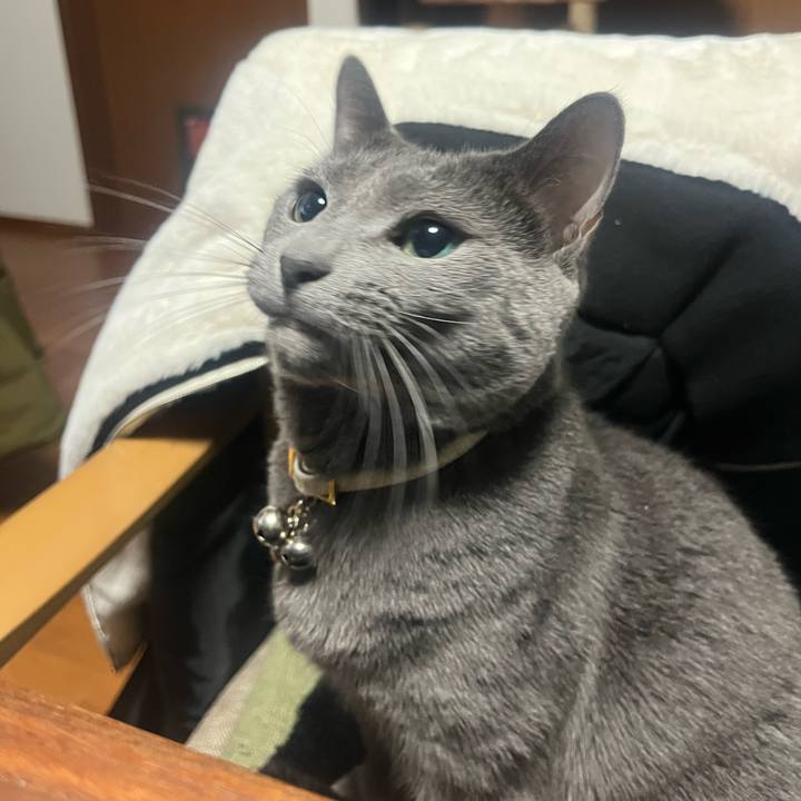 Cc6af5fc ae9c 4d37 8700 2bc94229a674 1736083030247