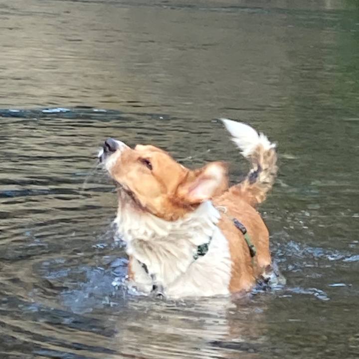 Cc6af7fd 4320 4b40 befa 3bab6f50c86b 1759117038766