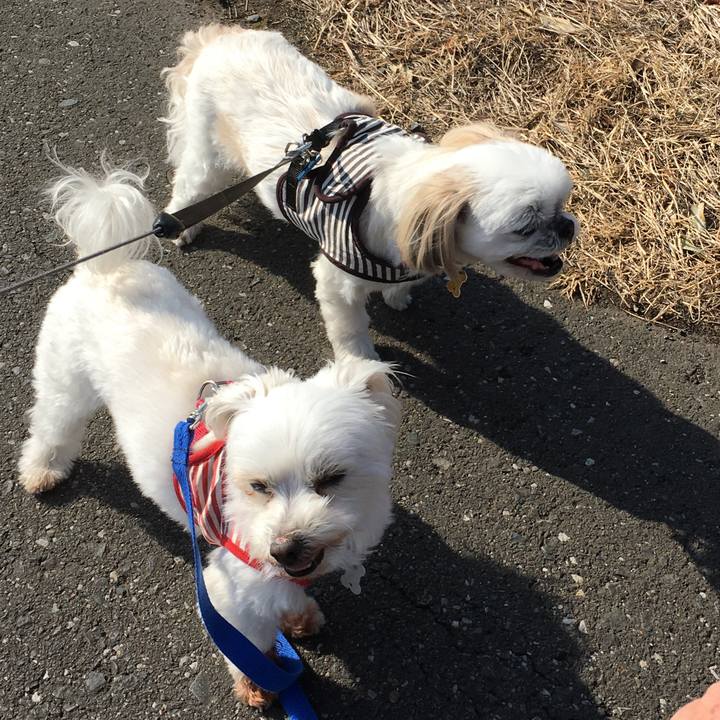 Cc6b4365 8d24 4151 a0c6 aaeb05f9d9a5 1613268738290