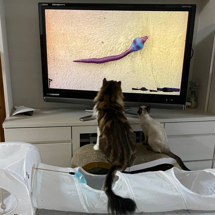 Cc6bc3f7 303e 40a2 a904 bf195e3556a1 1692477714305