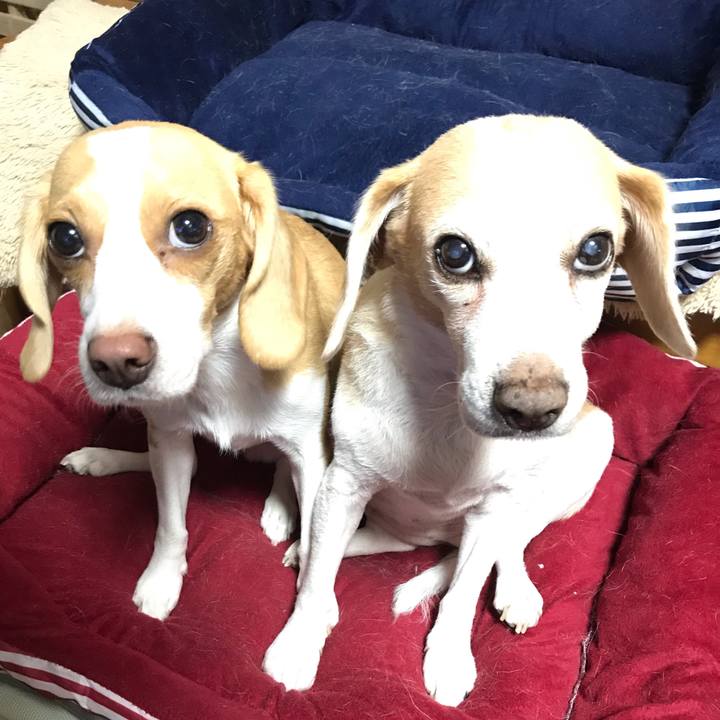 Cc6beb19 e46b 4544 b79d 69a2b530d167 1566033193650