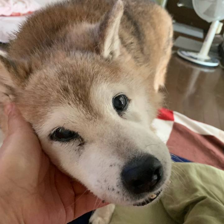 Cc6c6a20 6dae 44b0 bfbb cf808934c598 1656758182611