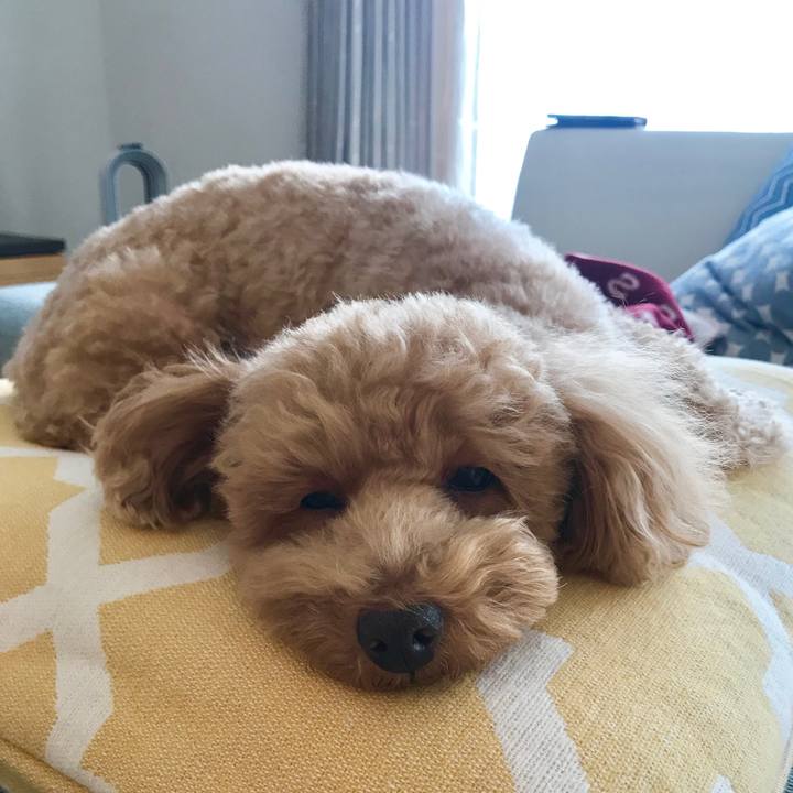 Cc6c7e3c 0081 44b0 be97 9fe62bbadb4b 1551853338068