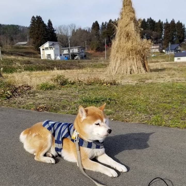 Cc6c8365 6351 48e9 86d8 bcfe2912c8a5 1576900661058