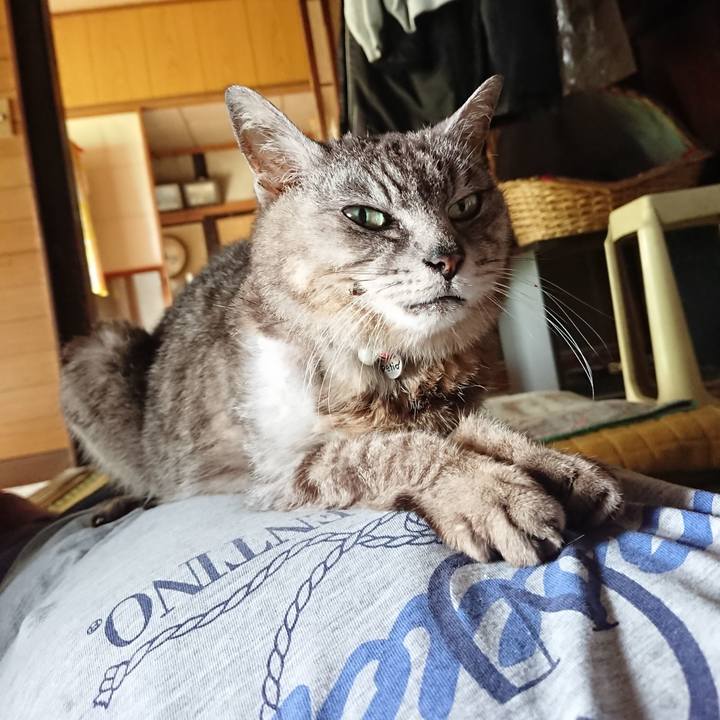 Cc6c90bf 0b88 46d4 bad3 25a1cbf5cd20 1595484522146