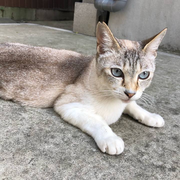 Cc6ca4ff 87b5 4797 8d1b d3b7a431e2cd 1560777468859