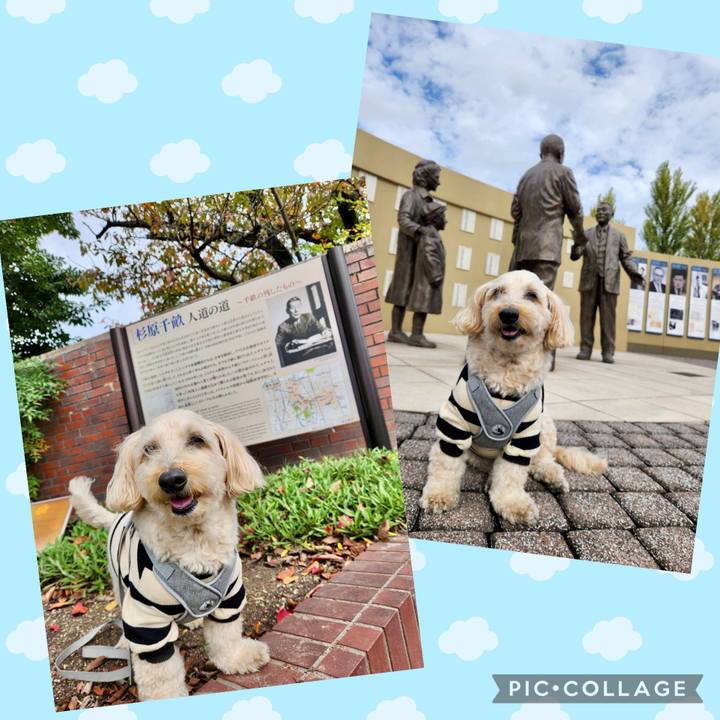 Cc6caead 3219 4ca5 bb9b f21e4640d407 1762922307163