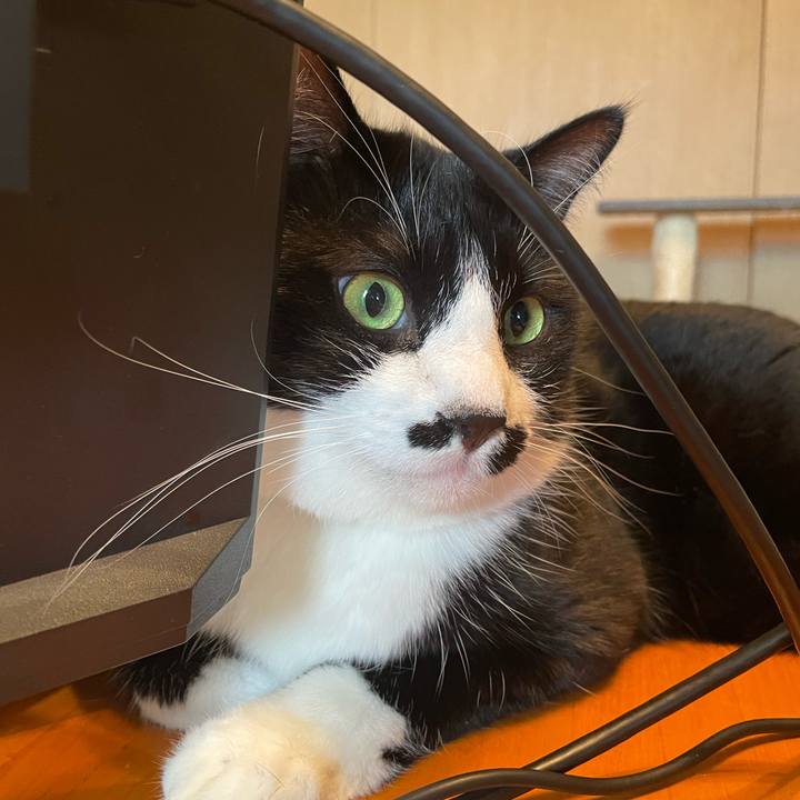 Cc6cb5bd 6c67 47c8 aef5 c74c18dd9eea 1724722985614