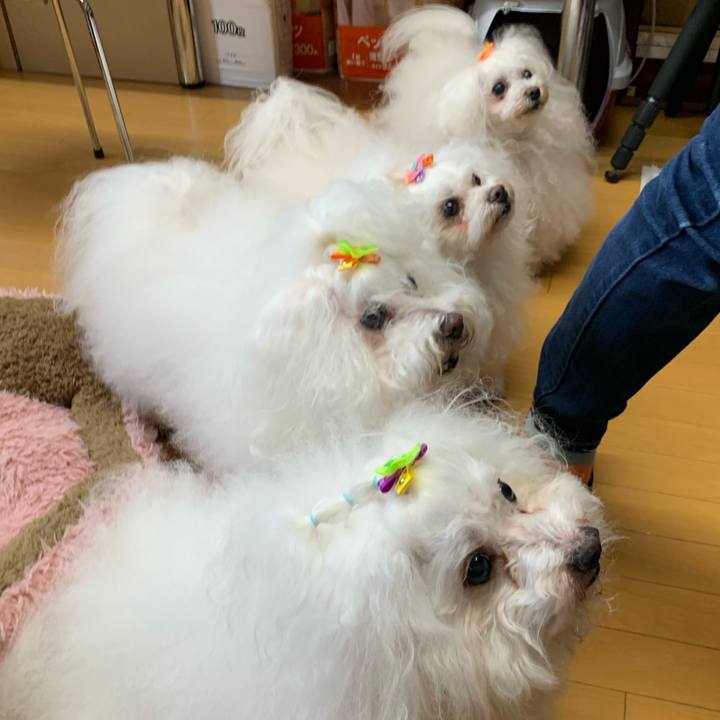 Cc6cc435 15a3 4313 8c66 545a16bdd91d 1666715183332