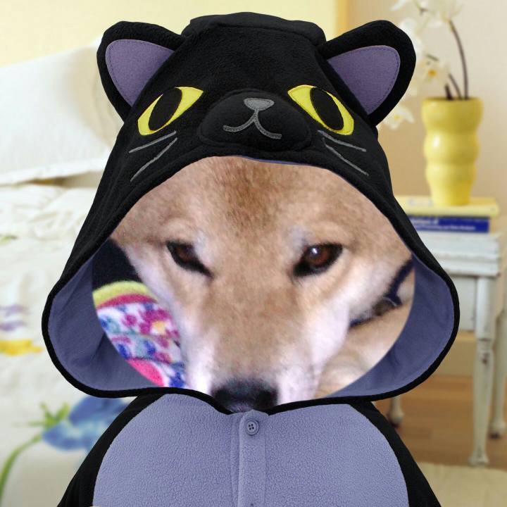 Cc6d1630 1b78 4ccb 8bac f13f75e0a670 1509207567299