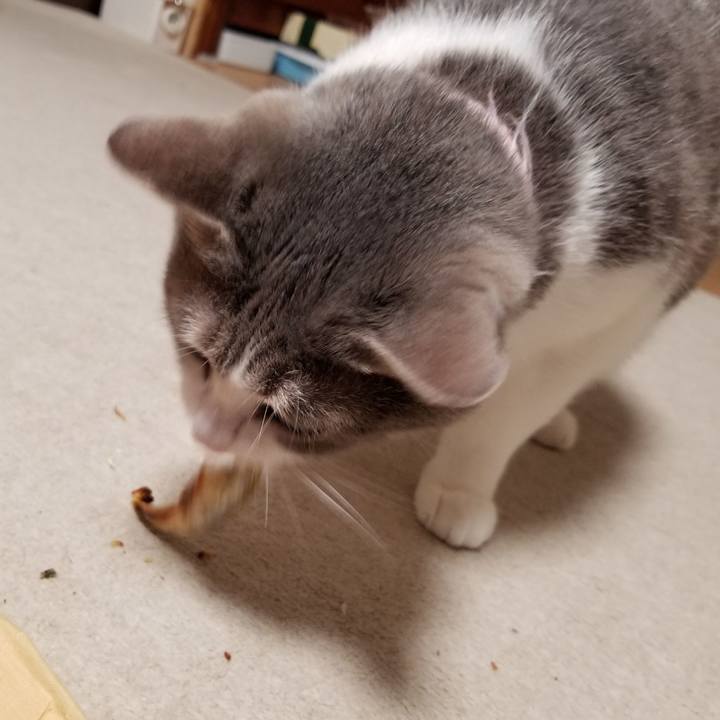 Cc6d16da 7641 4d60 b0d5 0dbcd94659ed 1580568005959