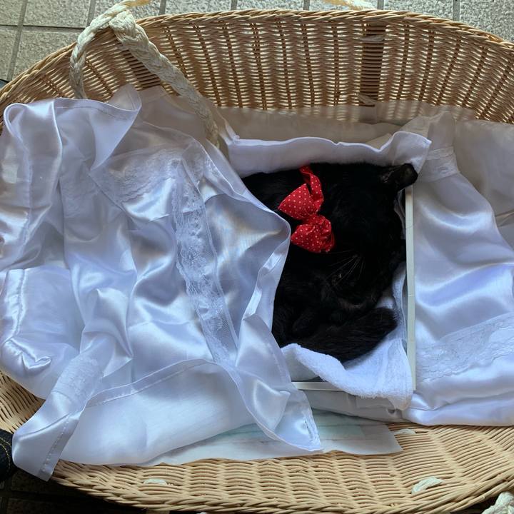 Cc6d29f4 c88e 4172 8700 e667b721da8d 1558754296897