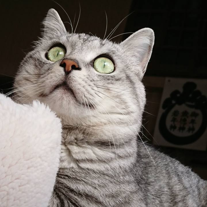 Cc6d2ae2 a071 4587 ab42 ced4fd8fa1f6 1546518380532