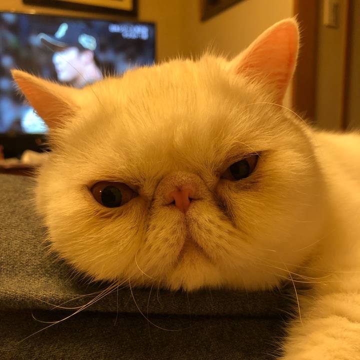 Cc6d4b08 9455 4786 a831 33cff3890565 1666522798835