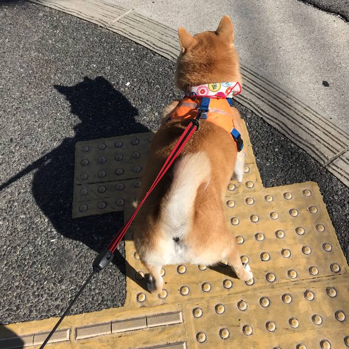 Cc6d670d 976f 4ad8 b3fb f6b35405f372 1540688632003