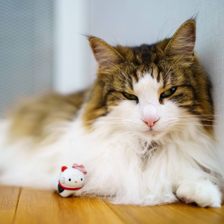 Cc6d6ec7 91ed 4ea7 828f 0b422ecc5c4d 1654153443694