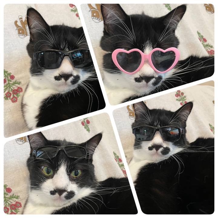 Cc6db42a 0b16 4175 819f e7a45f65ec6e 1695775088391