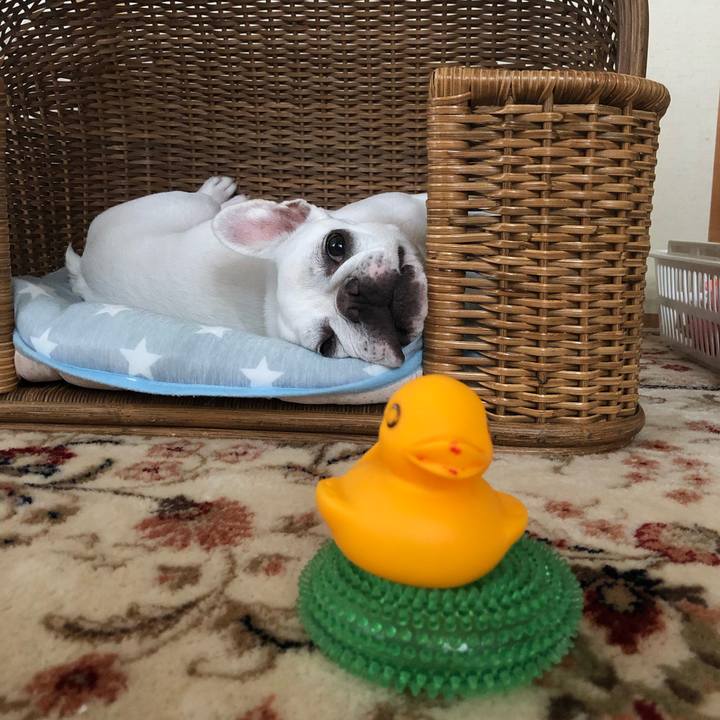 Cc6de9f9 27c7 43be 8b7d d7997b08aca1 1629591253652