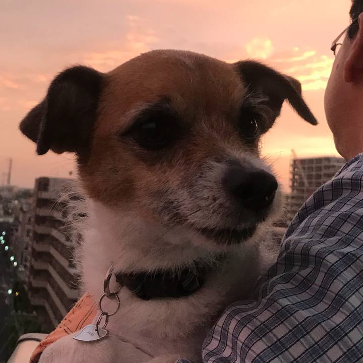 Cc6e2031 1174 4251 86d1 aaa7c2763836 1525339899391