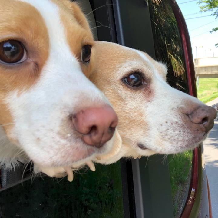 Cc6e24d5 1199 4084 a600 863b08d0b9e1 1524903220361