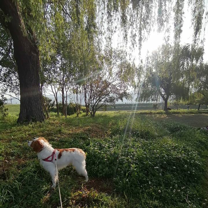 Cc6e37d8 39ad 4af8 a305 3e6f3666734a 1618879934395