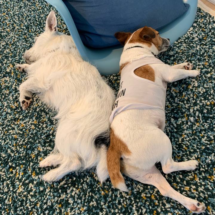 Cc6e3941 c947 4dc6 b423 b12eb3a01c5e 1589439624163