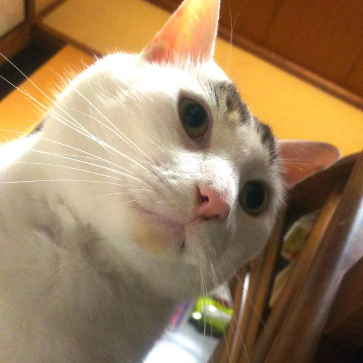 Cc6e8baa 13ad 41ad b9be 2df3591ef399 1563533354286