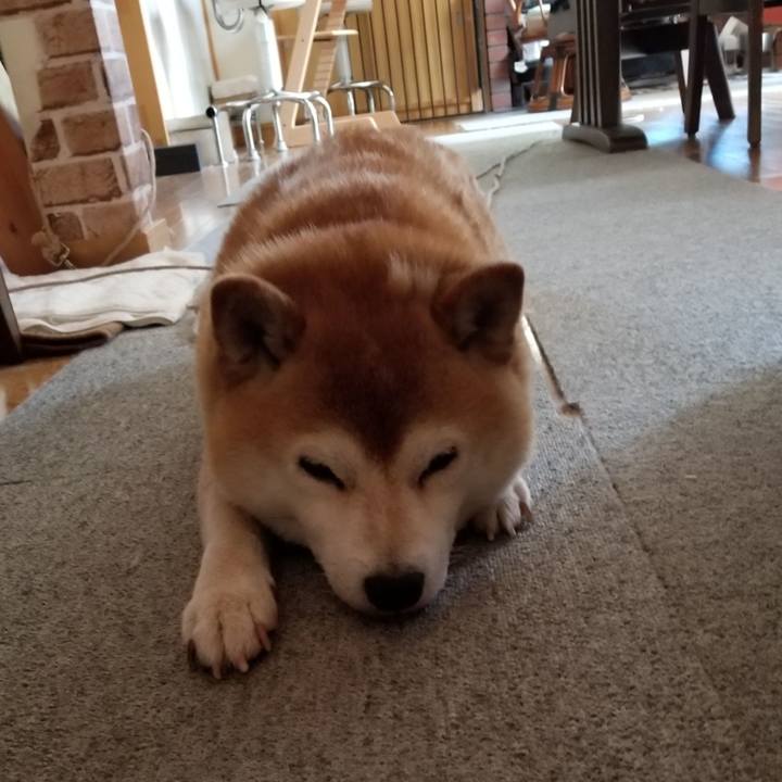 Cc6e96a9 6da8 41ac 9f4e 0ca4808c2335 1626488819073