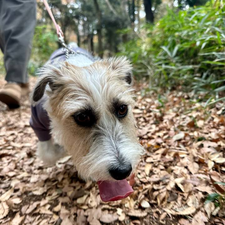 Cc6ee42f 4191 4810 979a c90c70eb6b06 1700916647726