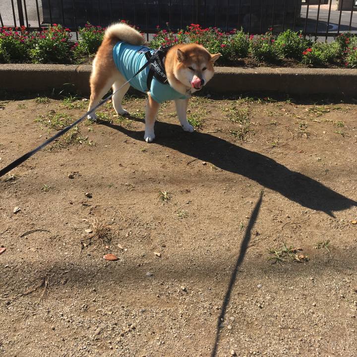 Cc6ee880 45ad 4cda bc5a 4124461c475c 1541123411821