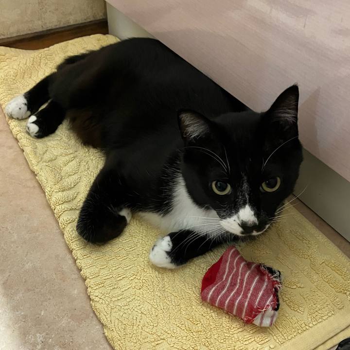 Cc6f38dd 673e 4450 94e2 e8d3cb5955d5 1665545380747